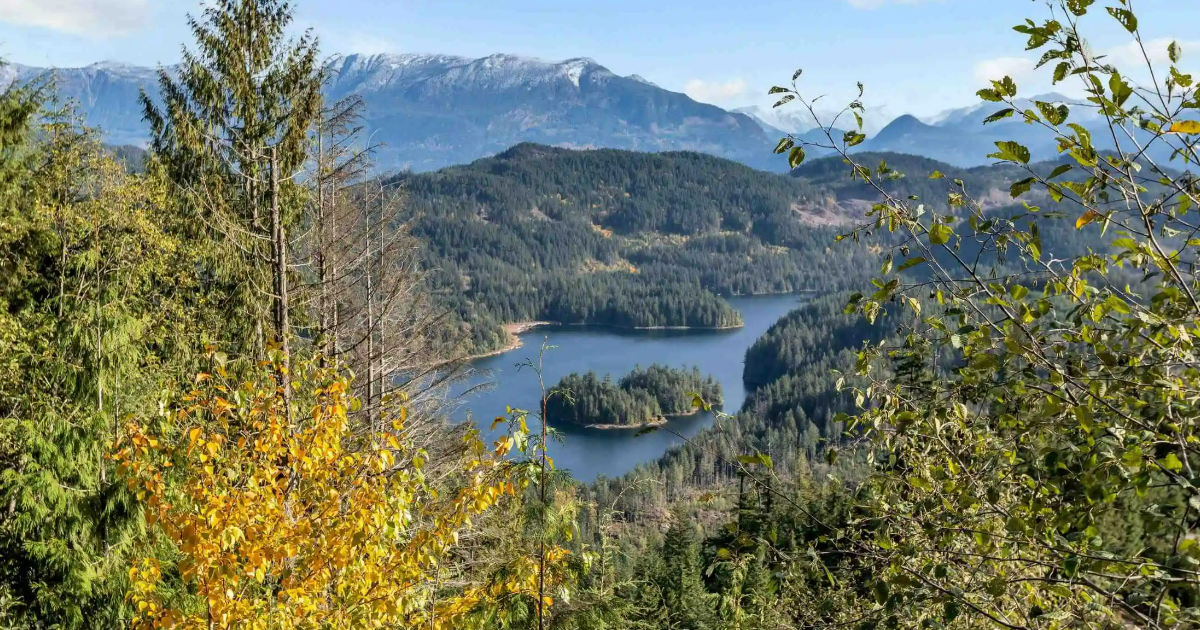 Unlocking the Potential of Hemlock Real Estate: Market Insights and Investment Opportunities